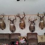 Profile Picture of Travis Bugge (@travisbugge) on Instagram