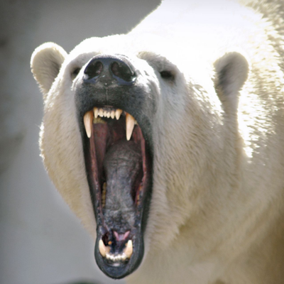 Profile Picture of Kyle McAllister (@CoachKyleMac1) on Twitter