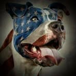 Profile Picture of Jeffery A McPhee (@Jeffery-A-McPhee) on Facebook