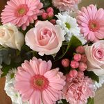 Profile Picture of Lisa Berardi (@lisablue1959) on Instagram