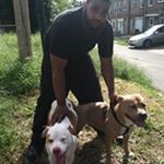 Profile Picture of Bill Wade (@wade1267) on Instagram