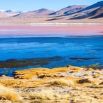 Krystyna Tokarz - Facebook Profile Picture of Krystyna Tokarz (@krystyna.tokarz.12) on Facebook