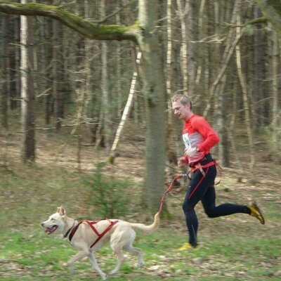 Profile Picture of Neil Mckie (@Neil_Mckie) on Twitter