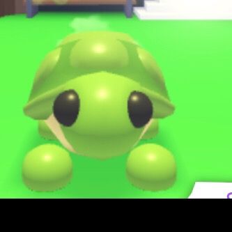 Profile Picture of robloxwozniak111 (@hannah...playz...roblox) on Tiktok