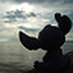 Profile Picture of Kos David (@kos david) on Flickr