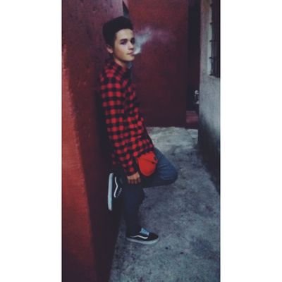 Profile Picture of  ❌Brian Araujo ❌ (@brian__araujo) on Twitter