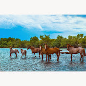 Profile Picture of Alejandro Rueda (@alejandrorueda4846) on Youtube