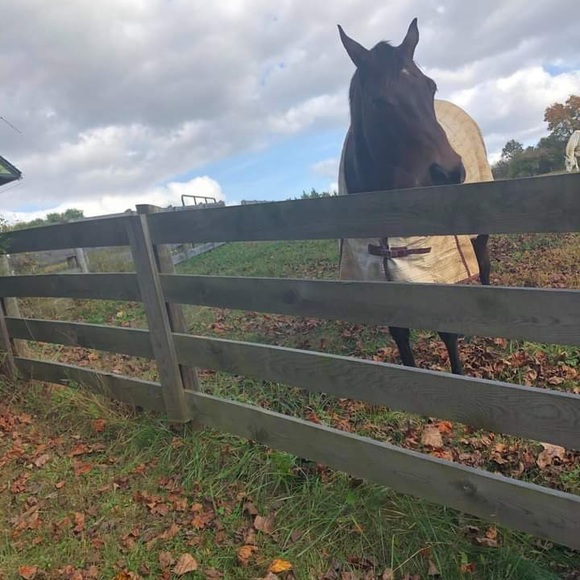 Profile Picture of Badis Issaad (@badisissaad) on Poshmark