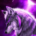 Profile Picture of Caleb Gaumer (@caleb.gaumer.2025) on Facebook