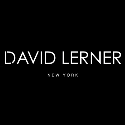 Profile Photo of David Lerner (@DavidLernerNY) on Twitter