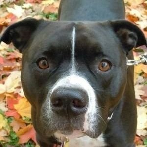 Profile Picture of Timothy Reyes (@TimothyReyes42) on Twitter