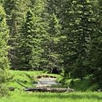 Profile Picture of Bryce Morrow (@bryce.morrow) on Instagram