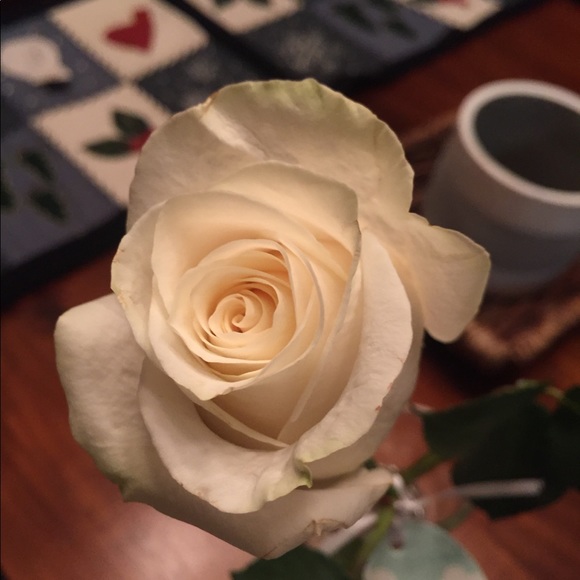 Molly Sheahan - Poshmark Profile Picture of Molly Sheahan (@mollysheahann) on Poshmark