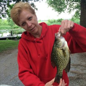 Profile Picture of Lisa Cote (@lisacote) on Pinterest