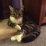 Profile Picture of Carol Benson (@carolbenson4649) on Instagram