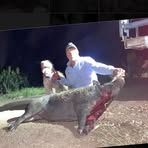 Jo Kopittke - Facebook Profile Picture of Jo Kopittke (@jo.kopittke.1) on Facebook