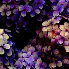 Profile Picture of Theresa Limas (@trelimas) on Pinterest