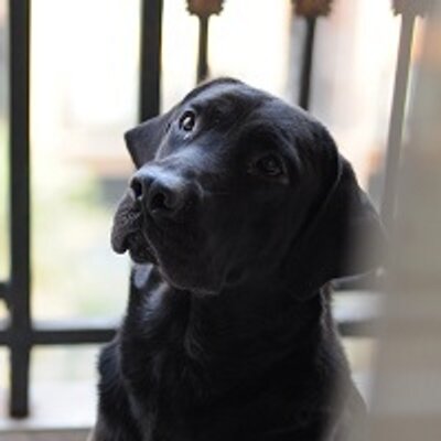 Profile Picture of Seanwong (@seanwong) on Twitter