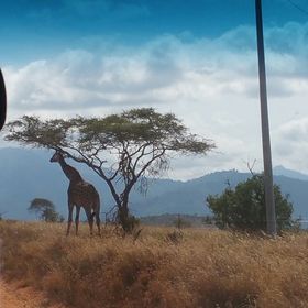 Profile Picture of Nancy Juma Wanjohi (@nancyjuma2000) on Pinterest