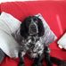 Profile Picture of Anne Malcolm (@anne.malcolm.585) on Facebook