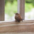 Profile Picture of Jerry Lancaster (@jerlan04) on Pinterest