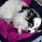 Profile Picture of Danielle Bisaillon (@danielle.bisaillon.3) on Facebook