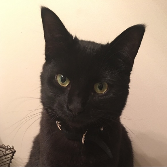 Profile Picture of Shelby Vandewarker (@slvandewarker) on Poshmark