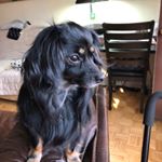 Profile Picture of Peter Guida (@peterguida) on Instagram