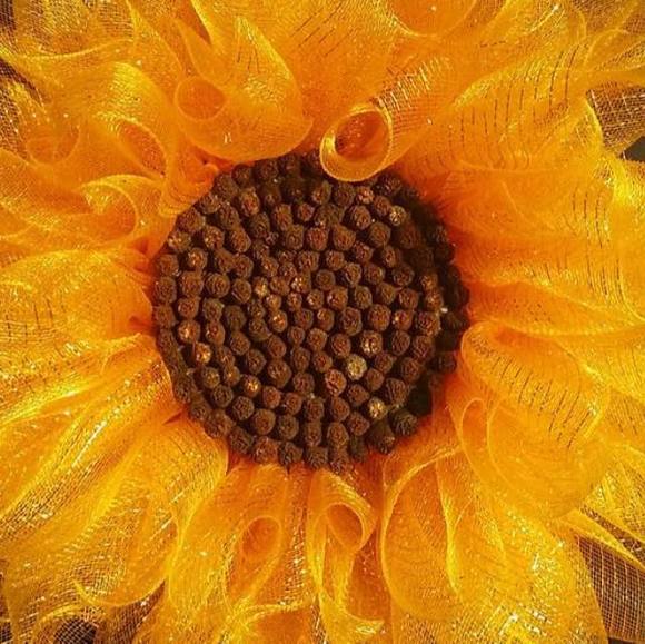 Profile Picture of Julie Jentzsch (@jaal0202) on Poshmark