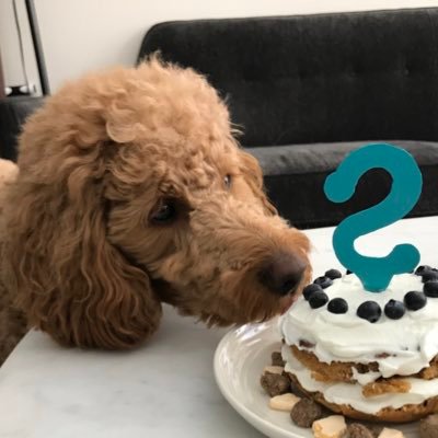 Profile Picture of Amber JY Zhao (@AmberZhao17) on Twitter