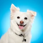 Profile Picture of Madisson Blasing (@Madisson-Blasing) on Facebook