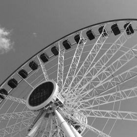 Profile Picture of Francesca Counts (@elisabettacount) on Pinterest