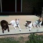 Profile Picture of Brenda Temple Howard (@brendatemplehoward) on Instagram