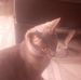 Profile Picture of Danielle Blaize (@danielle.blaize.3950) on Facebook