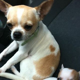 Profile Picture of Emily Daniels Sudler (Emily Daniels) (@emily.sudler) on Facebook