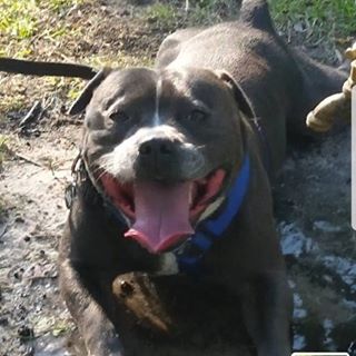 Profile Picture of Kylie Piggott (@kylie.piggott.16) on Facebook