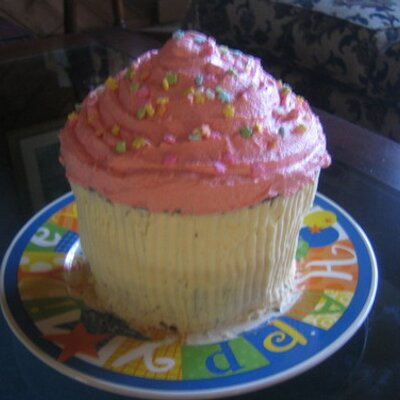 Profile Picture of Mary Crowley (@murieloliv) on Twitter