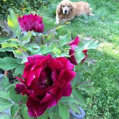 Profile Picture of marcelleleclerc (@marcelleleclerc) on Tiktok