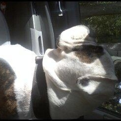 Profile Picture of Danny Janda (@240905908) on Myspace