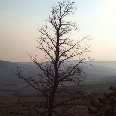 Profile Picture of Doug Fiedler (@DougFiedler96) on Twitter