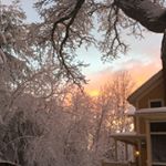 Profile Picture of Jocelyn Zuckerman (@jocelyn_z_worldlit) on Instagram