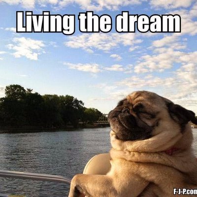 Profile Picture of Jeff In Durham (@jeffindurham) on Twitter