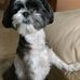 Profile Picture of Bruce Settle (@bruce.settle.904) on Facebook