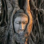 Profile Picture of Chef Christopher Kuhns (@chefkuhns) on Instagram