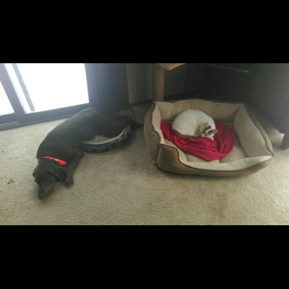 Profile Picture of Jessica Botimer (@jbotimer76) on Poshmark