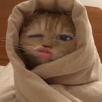 Profile Picture of Ałbèrt Alís (@ka.micky.2025) on Facebook