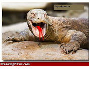 Profile Picture of Nick Stark (@dstark1000) on Youtube