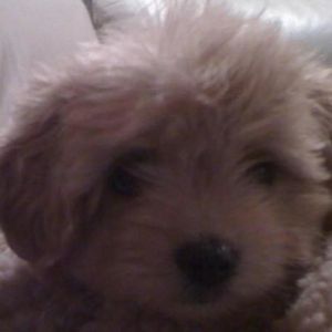 Andrew Fearnley - Myspace Profile Picture of Andrew Fearnley (@andyrulz94) on Myspace