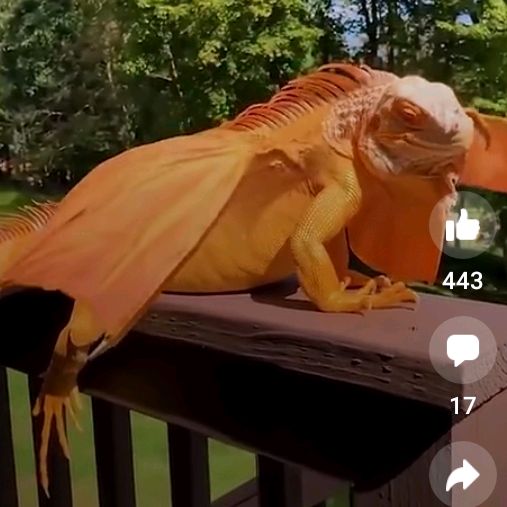 Profile Picture of Michael (@michaeloutram) on Tiktok