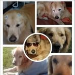 Josefina Viel Quirno - Facebook Profile Picture of Josefina Viel Quirno (@josefinavielquirno) on Facebook